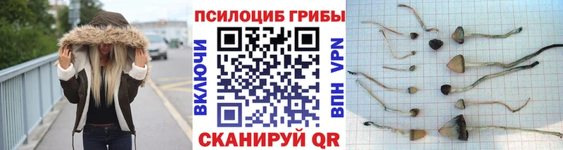 Галлюциногенные грибы GOLDEN TEACHER  где найти наркотики  Салехард 